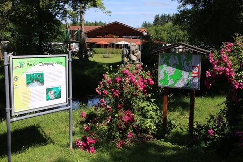 Platzansicht Park camping Iller