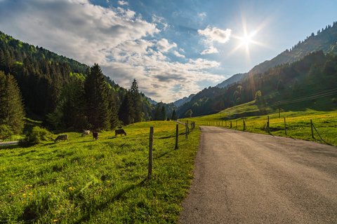 Wandern im Allgäu Camping Iller