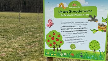 Streuobstwiese Park Camping Iller