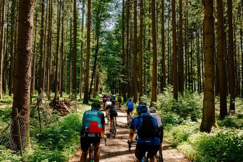 Gravel Bike Camp Allgäu Wald