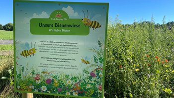 Bienenwiese Park Camping Iller